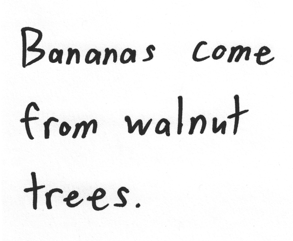 Bananas come from walnut trees.