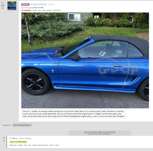 Screengrab from Reddit.

The post shows a blue Ford Mustang convertible with the word "GOOF" sprayed on the side. OP has posted the following;

"From B.C., Canada. So some asshole sprayed my car and now I gotta take it in to a shop to get it fixed. Insurance is covering it and I only have to pay a $300 deductible. The car is 30 years old and the original paint is “fragile” and old with quite a few chips. Do you think they will be able to get this off without damaging the original paint, or am I in for a new paint job? Thoughts?"

I have replied with "COCK PISS PARTRIDGE", in reference to the Alan Partridge episode where that was sprayed on his Rover 800.

My comment has since been deleted. By nazis. 