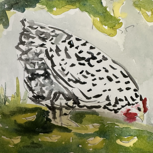 A speckled hen pecks in the grass around crescent suns. 