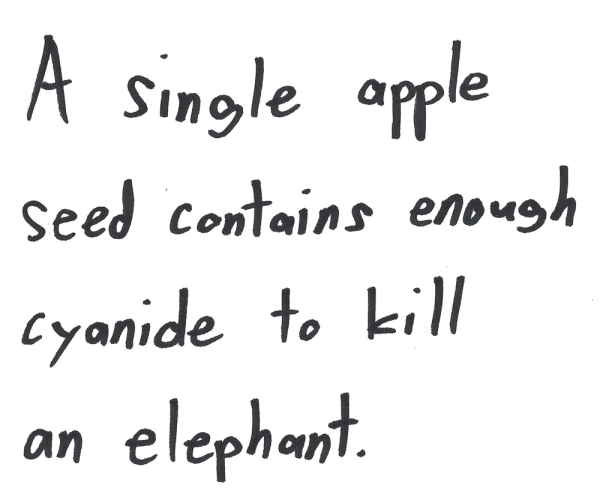A single apple seed contains enough cyanide to kill an elephant.