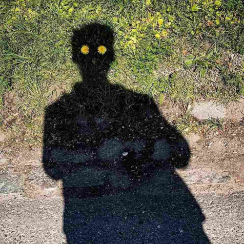 l'ombre noire d'un homme sur l'herbe verte, ses yeux sont deux pissenlits jaunes