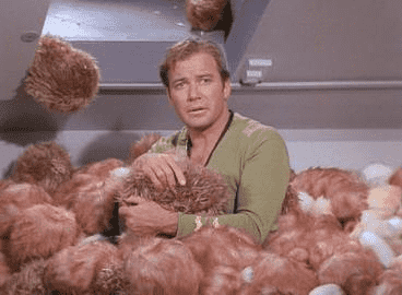 Tribbles are a fictional alien species in the Star Trek universe. They were conceived by screenwriter David Gerrold and first appeared in 1967, in the fifteenth episode of the second season of Star Trek: The Original Series, titled "The Trouble with Tribbles". They are depicted as a small, furry, gentle, cute and slow-moving, but rapidly reproducing, lovable species. Though they appear infrequently on-screen, they have become a popular feature of the Star Trek universe, featuring in their own eponymous official card game, and even lending their name to a conserved family of proteins that was first identified in the fruit fly as a regulator of cell division.