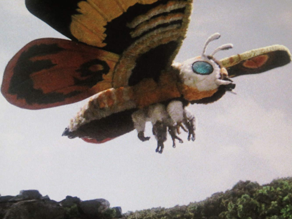 Mothra monster from 1960s Japanese monster movies.

It's vaguely moth-shaped and looks pretty cute and a bit like a piñata.