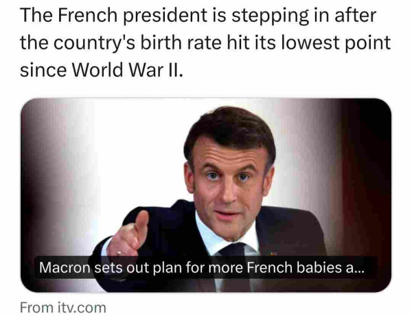 Headline: the French president Macr9n is stepping in after the country's birth rate hits lowest point  since World War 2
