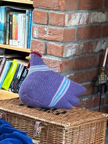 Cynthia is a large purple knitted chicken with bands of pink and turquoise. She was made specially for me by a Mastodon friend in my favourite colours. She’s sitting on a wicker hamper against the wall of the fireplace, which is exposed brick. To the left of the shot is the bottom of a tightly packed bookcase. Cynthia’s expression is benign, yet clueless. No thoughts, only clucks