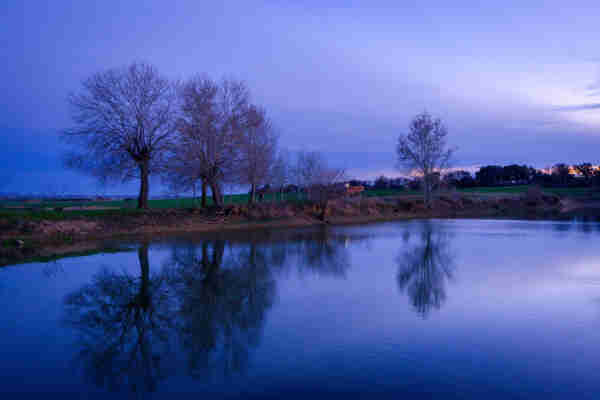 Foto donde se ve un pequeño estanque con árboles reflejados con un cielo de color índigo durante la hora azul.

Photo of a little lake with some reflections of three during blue hour with Indigo sunset.