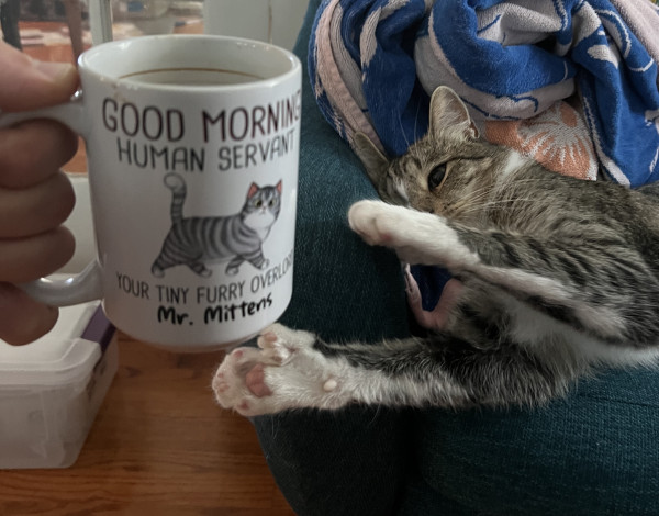 Photo of a cat reaching for my coffee mug. 