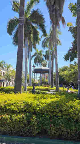 foto de la Plazuela Machado, Mazatlán, México

al centro se ve un kiosko pequeño, y múltiples palmeras enormes en líneas paralelas a ambos lados

todo alrededor, tanto arbustos como árboles se ven con un verde intenso