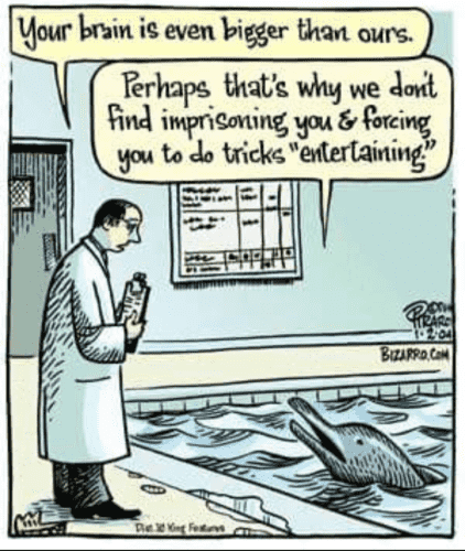 A scientist with a clip board stands next to a tank with a dolphin in it.

Scientist says, "Your brain is bigger than ours."

The dolphin replies, "Perhaps that's why we don't find imprisoning you and forcing you to do tricks entertaining."