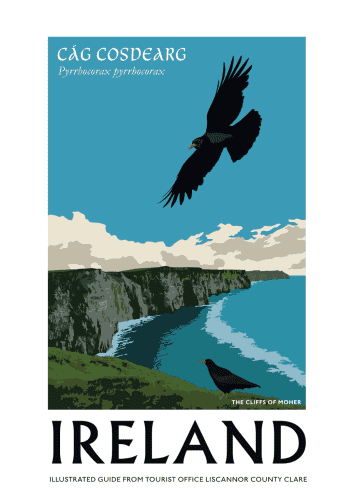 Poster depicting cliffs of Moher in Ireland with a chough flying overhead 