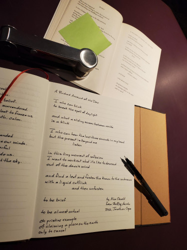 Handwritten transcription of the poem "A Rushed Account of the Dew" by Alice Oswald from the poetry collection Falling Awake - the book is held open with a stapler, a green post-it note is attached to one page and an uncapped black pen rests on the notebook page