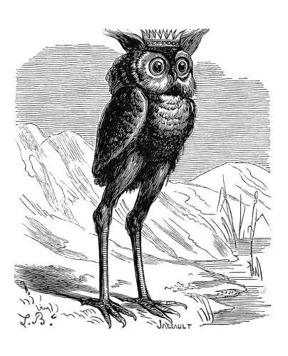 Stolas is described as the Great Prince of the Underworld and depicted here as an owl with a crown, and long legs one would more readily expect to see on a heron.  When he assumes the shape of a man he teaches astronomy and the properties of plants