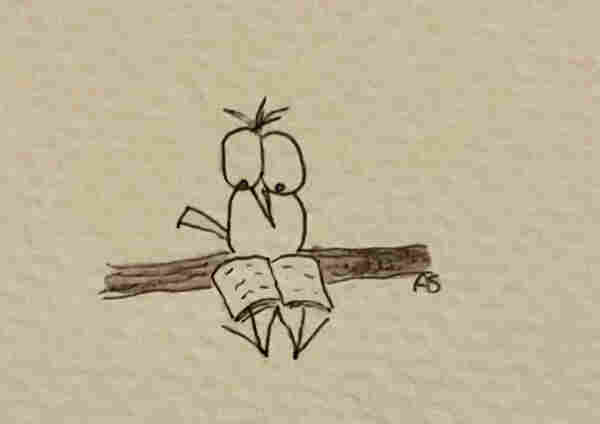 Hand-drawn sketch of a bird sitting on a branch, appearing to read an open book.