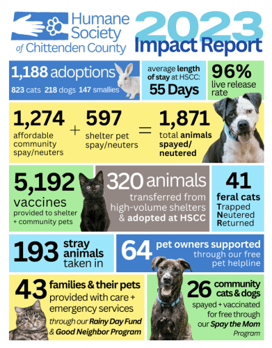 A colorful graphic with blocks of text and photos of animals. The text reads: Humane Society of Chittenden County 2023 impact report. 1,188 adoptions. 823 cats 218 dogs 147 smallies. average length of stay at hscc 55 days. 96% live release rate. 1,274 affordable community spay and neuters and 597 shelter pet spay and neuters, equalling 1,871 total animals spayed and neutered. 5,192 vaccines provided to shelter and community pets. 320 animals transferred from high-volume shelters and adopted at HSCC. 41 feral cats trapped neutered and returned. 193 stray animals taken in. 64 pet owners supported through our free pet helpline. 43 families and their pets provided with care and emergency services through our rainy day fund and good neighbor program. 26 community cats and dogs spayed and vaccinated for free through our spay the mom program.