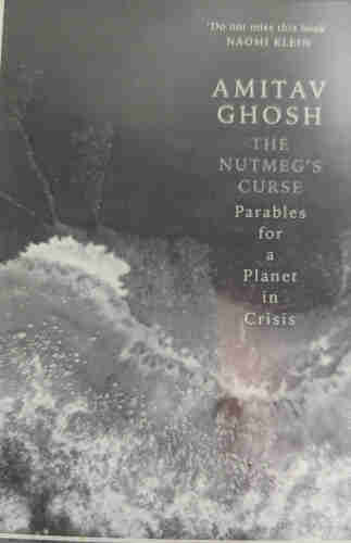 Cover of the ebook. Subtitle is Parables for a Planet in Crisis. Recommended by Naomi Klein Think illustration is moody ocean.