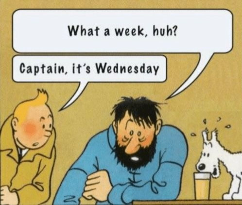 A pane from a Tintin comic: Captain Haddock leans on a table and says 'What a week, huh?' To his left, Tintin says 'Captain, it's Wednesday' To the right, Tintin's dog, Snowy, drinks from a beer glass