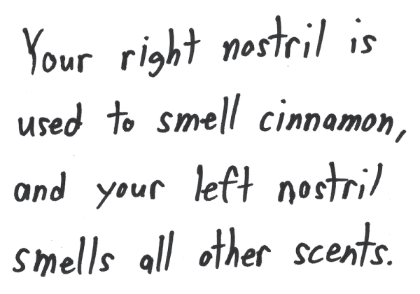 Your right nostril is used to smell cinnamon, and your left nostril smells all other scents.