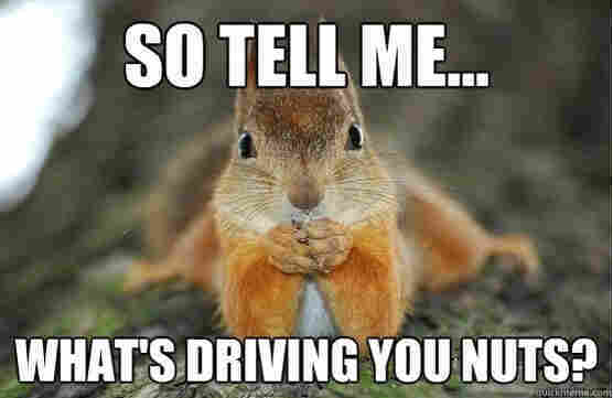 Picture a grey squirrel looking at us , resting his chin on his paws in a classic psychiatrists pose.
The caption reads:

So tell me , whats driving you nuts ?