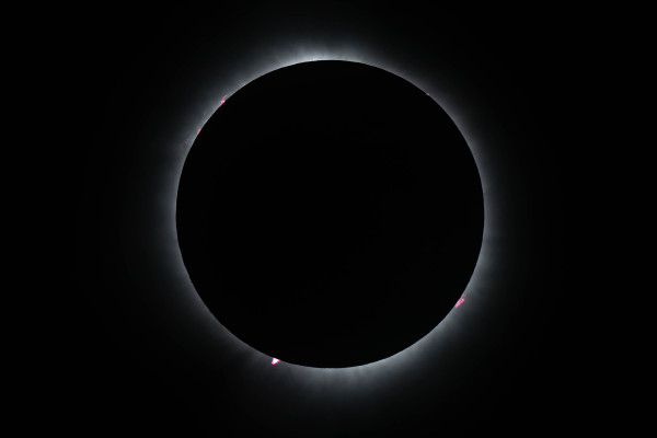 Photo of solar corona with prominences in red.