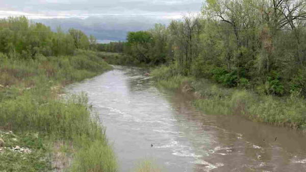 Brown water flows between green vegetation-covered riverbanks.  