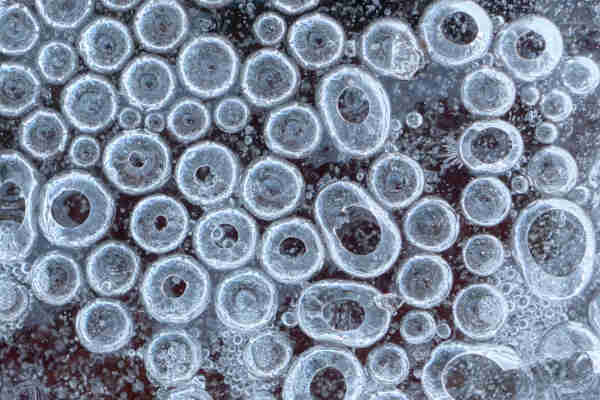 Bubbles of ice like alien eggs