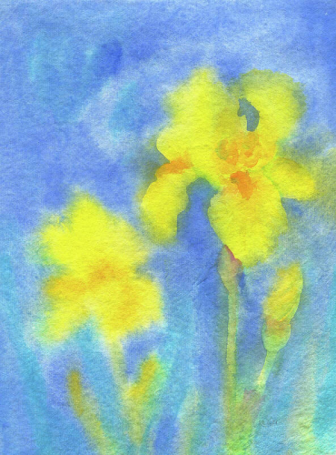 Yellow Iris is a watercolor painting painted in portrait format by artist Karen Kaspar. Against an abstract background in shades of blue, the flowers and buds of a beautiful iris shine in strong yellow and orange tones. The image is painted in a loose style on handmade watercolor paper with a unique structure.