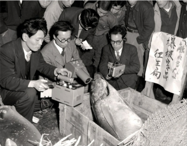 Officials of the Tokyo Metropolitan Government measure thelevels of radiation of tuna at Tsukiji fish market in Tokyo 1954 (Kyodo)