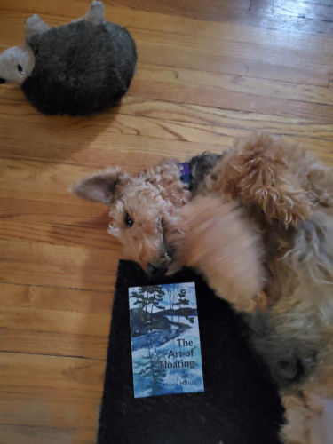 Poetry collection The Art of Floating by Melanie Marttila (Latitude 46 Publishing), with cover artwork of trees, water and rocks reminiscent of the Group of Seven, sits on the floor next to a reclining Airedale terrier and the Airedale's toy hedgehog