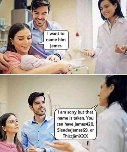 (Mother with new born baby in the hospital) I want to name him James.  (Nurse) I am sorry but that name is taken. You can have James420, Slenderjames69, or Thicc|imXXX