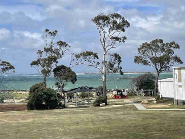 A view of the se with a grassy parkland in the foreground and a line of tall eucalypts further back. Then behind them, the sea. Which was beautifully turquoise green. Teal. 