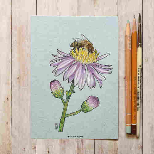 Original drawing - Honey Bee on a Purple flower
A drawing of a honey bee sitting on a purple flower.
Materials: colour pencil, mixed media, acid free pale blue pastel paper
Width: 5 inches
Height: 7 inches
