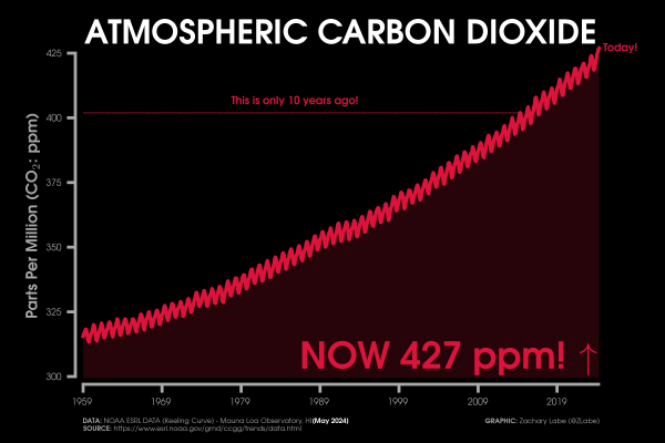 Red line graph time series of monthly carbon dioxide abundance from January 1959 through May 2024. There is a seasonal cycle and long-term increasing trend. Current levels of CO2 are at 427 ppm. This is the Keeling Curve graph. A line for CO2 10 years ago is also annotated.