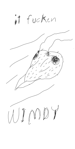 A crudely drawn close-up of an ant's face with her hairs and antennae being blown back, with wind lines. The caption reads: "it fucken WIMDY."