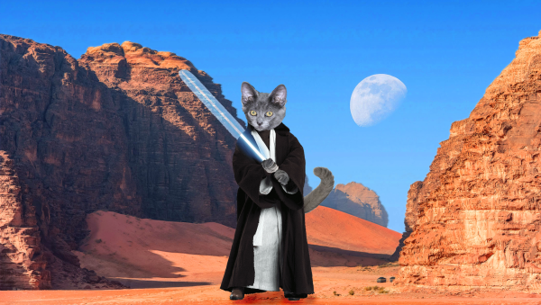 A dark gray kitten’s head, paws and tail have been photoshopped onto the body of Obi Wan Kenobi.  He holds a lightsaber against standing in a red sand desert with a blue sky and partial moon. 