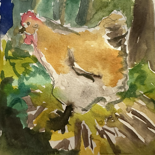 A yellow fluffy hen in a grassy wooded area. 