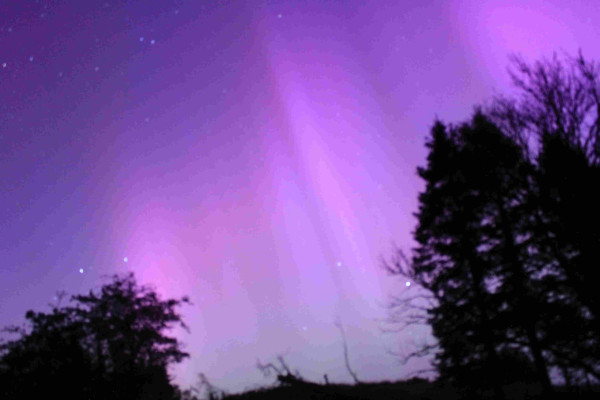 A picture of the night sky, with some trees silhouetted on the left and right.
Stars are visible, mainly in the top left corner.
There are coloured streaks of aurora in the middle, framed by the trees. They have a purple hue to them.