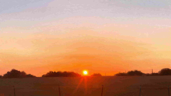 Digital painting of a sunset scene: the orange sun skims the horizon, right at the centre of the frame, among the trees. There is a wide open field with a flimsy wire fence in the foreground. The pale sky is mostly clear, slightly misty in a way that scatters the orange light around the sun.