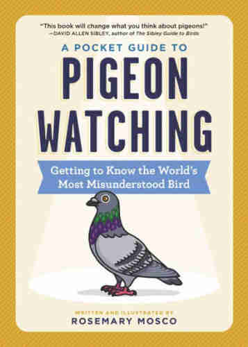 The cover of the book showing an illustration of a cute pigeon