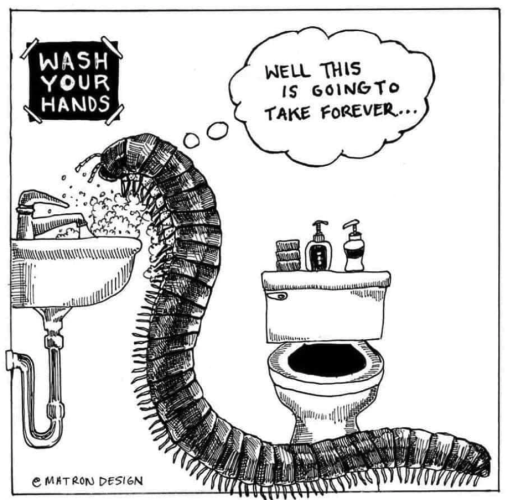 A drawing of a realistic millipede in a bathroom. A sign says "Wash Your Hands" the millipede thinks "well this is going to take forever..."

Cartoon signed by Matron Design