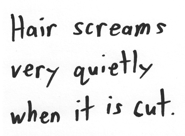 Hair screams very quietly when it is cut.
