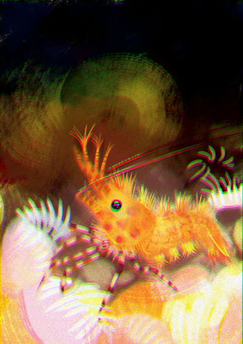 A marbled shrimp very spotted very patterned and orange atop pink sea anemones.