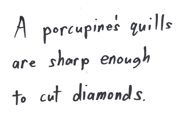 A porcupine’s quills are sharp enough to cut diamonds.
