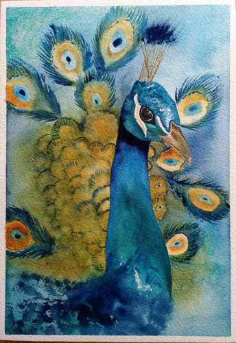 Watercolour peacock from the side head and neck,  in the background peacock tail and feathers