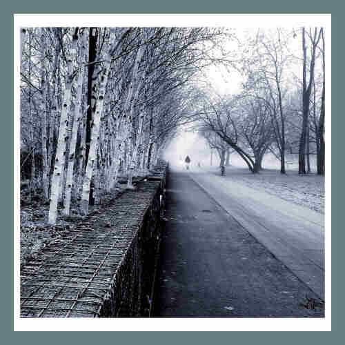 Schwarz-Weiß Foto eines Plattenweges im Nebel. Es kommen RadfahrerInnen mit Licht von vorne. Der Weg ist in einem Park mit Wiese und mittelalten Bäumen zur rechten Seite. Auf der linken Seite sind junge Birken dicht in einer Reihe. Eingefasst von einer Balustrade aus Steinen in einem Metallgitter.