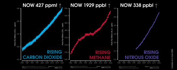 Graphic shows three line graph time series of monthly carbon dioxide abundance in ppm (blue line), monthly methane abundance in ppb (red line), and monthly nitrous oxide in ppb (purple line). Graphs are all shown from January 1984 through February 2024/May 2024. Current levels of CO2 are 427 ppm. Current levels of methane are 1929 ppb. Current levels of nitrous oxide are 338 ppb. All graphs show long-term increasing trends along with some interannual variability and seasonality. 
