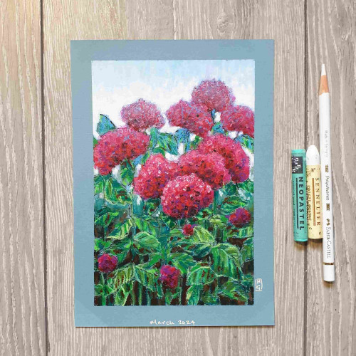 Original oil pastel painting - Red Hydrangea Shrub
An oil pastel painting of a red hydrangea shrub. The palette for the painting is mostly red and green.
Materials: oil pastel, mixed media, acid free pale blue pastel paper
Width: 14.5 centimetres
Height: 21 centimetres
