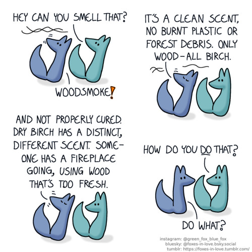 A comic of two foxes, one of whom is blue, the other is green. In this one, Blue and Green are on a walk as they smell something in the air, turning their heads up to sniff at the scent trail hanging in the air. Green: Hey can you smell that? Blue: Woodsmoke!  Eyes closed and nose up in the air, Blue begins to make an analysis of the scent, while Green looks at him in astonishment. Blue: It's a clean scent, no burnt plastic or forest debris. Only wood - all birch. And not properly cured. Dry birch has a distinct, different scent. Someone has a fireplace going, using wood that's too fresh.  Green continues to stare, as Blue turns to look at him in equal surprise. Green: How do you do that? Blue: Do what?