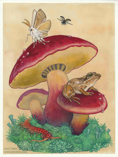 A painting of three red and yellow mushrooms on a round base of lichen and moss. A white and yellow moth takes off from the largest mushroom, a yellow and black spotted pleasing fungus beetle flies over it, a frog sits on the closest, and a bright red centipede coils around the base. 