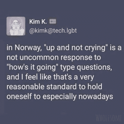 Kim K. @kimk@tech.Igbt in Norway, "up and not crying" is a not uncommon response to "how's it going" type questions, and I feel like that's a very reasonable standard to hold oneself to especially nowadays