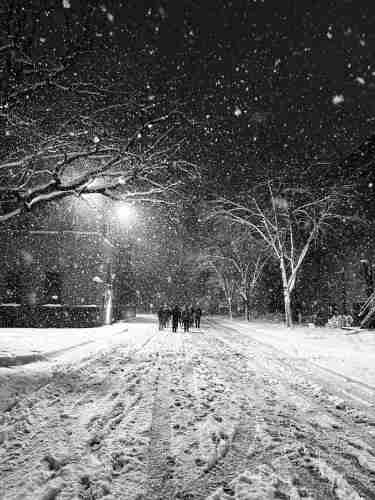 A dark night sky is filled with large flakes of falling snow. Trees lining street have white limbs from wet snow stuck to their trunks. A street light ahead illuminates a group of people walking far off away from view into the storm.